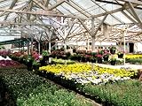 51 Greenhouse Gardening Tips