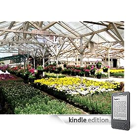 51 Greenhouse Gardening Tips