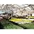 51 Greenhouse Gardening Tips