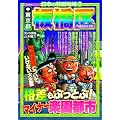 日本の特別地域〈3〉東京都板橋区 (地域批評シリーズ日本の特別地域 3)