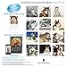 LittleGifts Alaskan Malamute 2016 Calendar (1221)