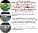 The Special Promotion, Godfather Principles and Accounting & Finance for LCD Projector Lamps Web Businesses 3 CD Power Pack