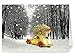 One Jade Lane - Delivering Warmth, Set of 20 Holiday Cards & Envelopes, 5x7, Heavy Stock.