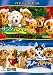 バディーズ・セット [DVD]
