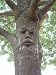 Mr MapleShade Forest Face Tree Face