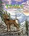 Trails Above the Tree Line: A Story of a Rocky Mountain Meadow (Soundprints Wild Habitats)