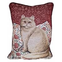 American Mills Fabric Kitty 16 by 11 Pillow, Set of 2