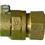 AY McDonald 4754-22 CTS Polyethylene Tubing Connector (CTS X F.I.P.T.)