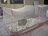 Kritter Kondo, Outdoor Cat Enclosure