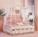 Canopy Day Bed with Link Spring in White Finish