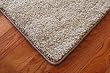 Barley 70 oz. PLUSH 6' x 9' Area Rug