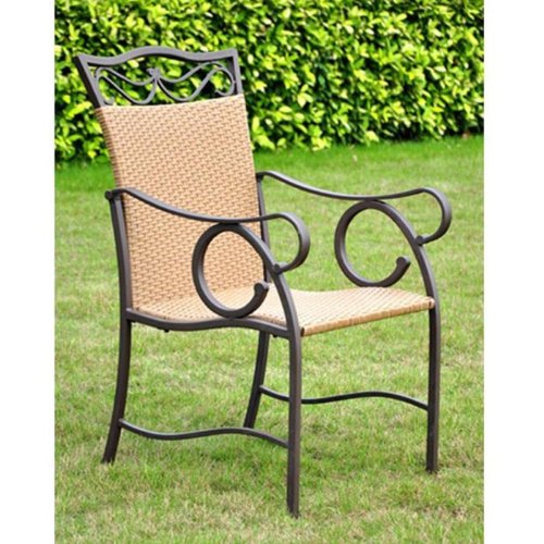 Valencia Resin Wicker / Steel Set of 2 Chairs (Matte Brown) (39
