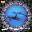 Dolphin Dreaming