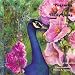 Peacocks and Hollyhocks Book 2: Lost in Town