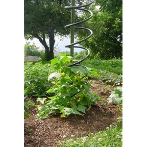 Spiral Stand