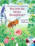 Wie lebt die kleine Honigbiene?: Eine Geschichte mit vielen Sachinformationen - Friederun Reichenstetter