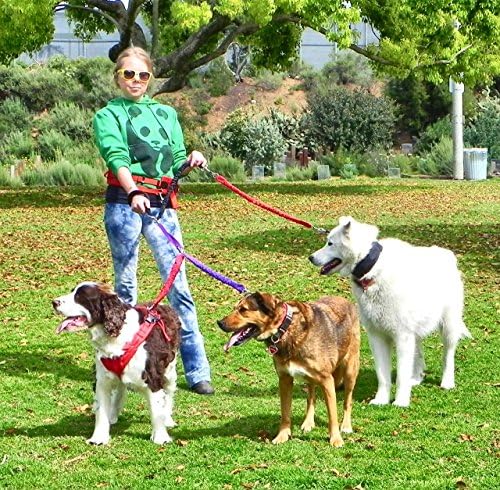 Larz Dog Products Triple Dog Leash Full System