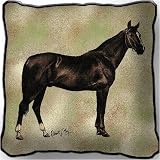 Review Pure Country  / Anglo Arabian Pillow - 17 x 17 Pillow