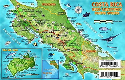 costa rica dive map  pacific reef creatures guide franko maps laminated fish card