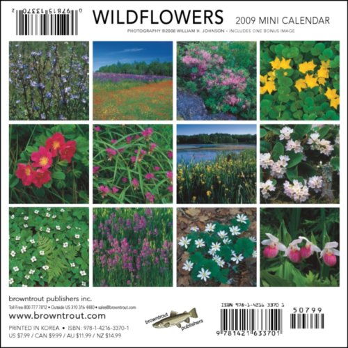Wildflowers 2009 7X7 Mini Wall Calendar under Flowers in The Books Store