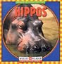 Hippos (Animals I See at the Zoo)