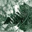 Excava-11