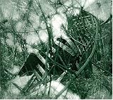 Excava-11