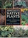 Armitage's Native Plants for North American Gardens