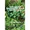 The Absolute Best Herb Books on Amazon