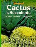 Cactus and Succulents