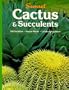 Cactus and Succulents