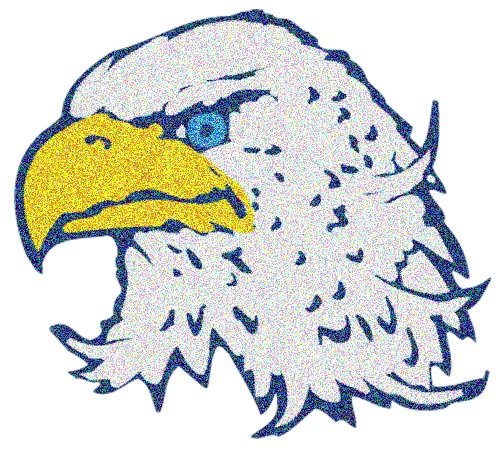 Childrens Toyshop  Sporting Goods : Eagle Head Glitter Temporary Tattoos