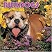 Bulldogs 2009 Wall Calendar