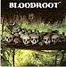 Bloodroot