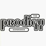 Eigenschaften the Prodigy  / Experience