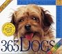 The Original 365 Dogs Page-A-Day Calendar 2007