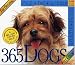 The Original 365 Dogs Page-A-Day Calendar 2007 (Page a Day Calendar)