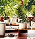 Gardena - Kit d'Arrosage Automatique de Plantes en Pots - Jusqu'&agrave; 36 Plantes