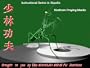 Northern Praying Mantis (Shaolin Interactive Instructional Series)