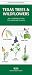 Book Texas Trees and Wildflowers: An Introduction to Familiar Species (Pocket Naturalist)