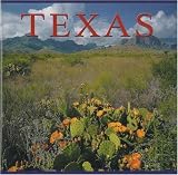 Texas (America Series - Mini)