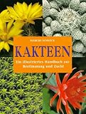 Produkt-Bild: Kakteen. Ein illustriertes Handbuch zur Bestimmung und Zucht