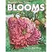 Beautiful Cross Stitch Blooms (Leisure Arts #4249)