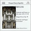 Reger/oeuvres pour orgue vol.3
