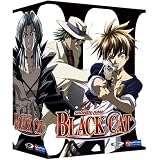 Black Cat Starter Set ~ Artist Not Provided