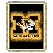 Northwest Missouri Tigers 48 x 60 Throw Blanket