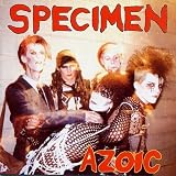 Revue Specimen  / Azoic