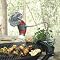 BBQ Fan with Light