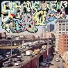Image of album by Sufjan Stevens