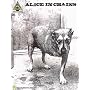 Alice In Chains (self-titled)* (Guitar Recorded Version)